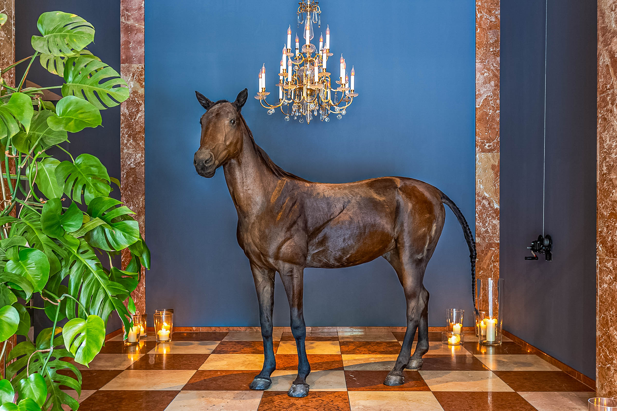 Iconic taxidermy horse under a Lobmeyr crystal chandelier in the Grand Ferdinand Vienna hotel lobby